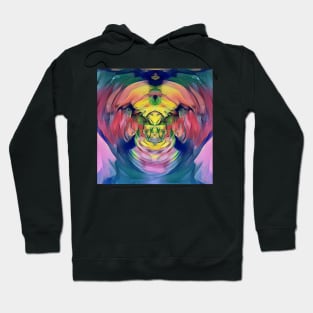 Bright and Colorful Abstract reflection Hoodie